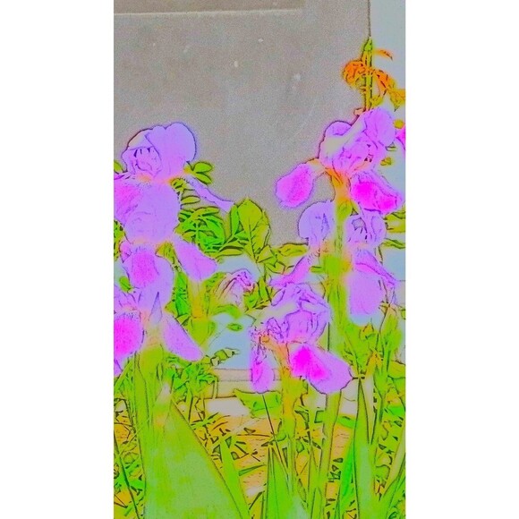 Four 8 by10 Prints of My Iris digitally enhance Photographs Signed ready2 frame - Picture 2 of 4